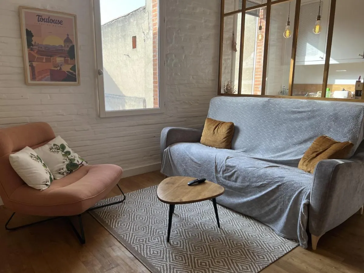 Apartmán Woody - T3 Chaleureux Au Coeur De Saint-Aubin Toulouse Francie